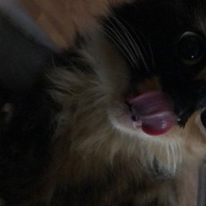 Meet your Posher, Kristi